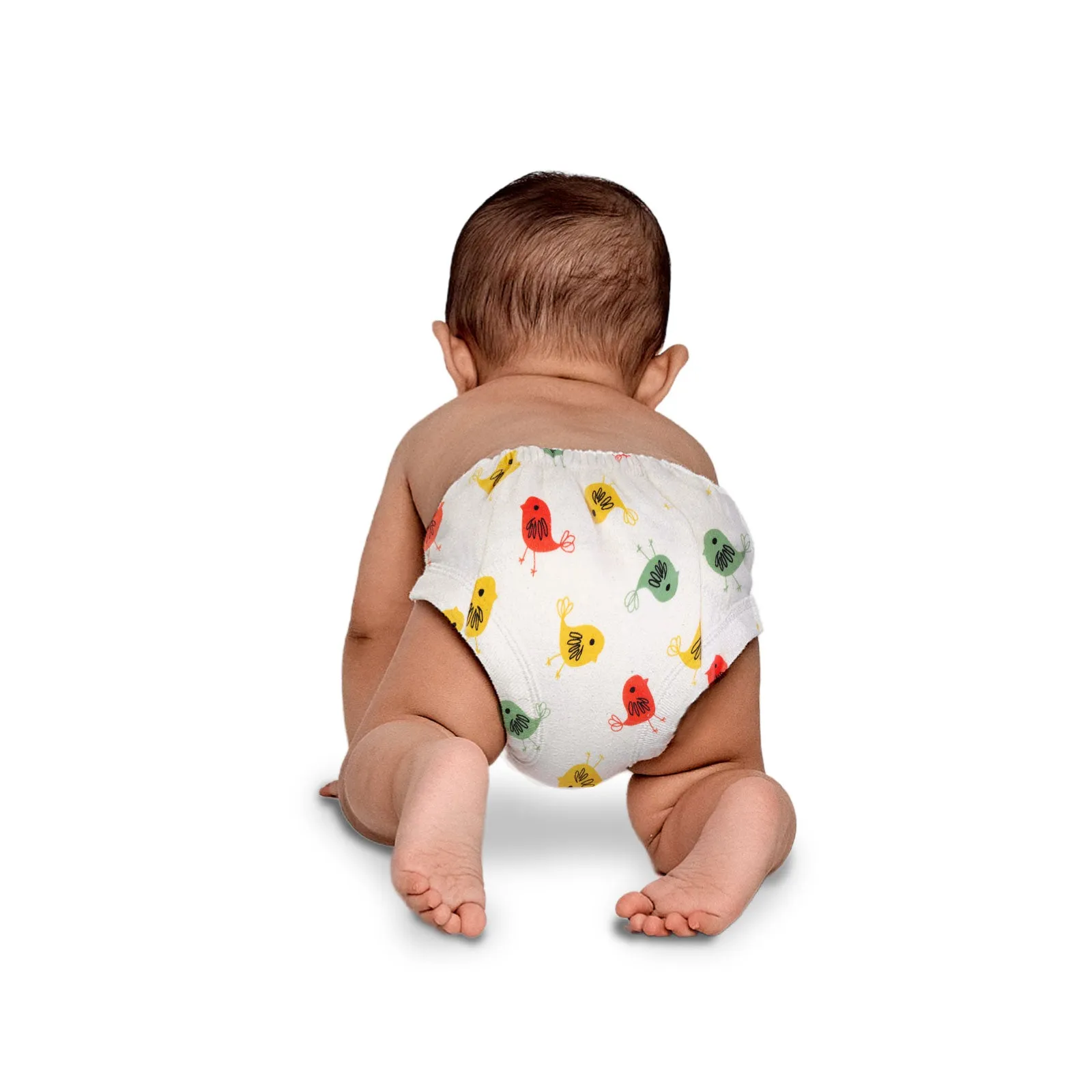 Padded Underwear for Potty Training - 2pack - Birds
