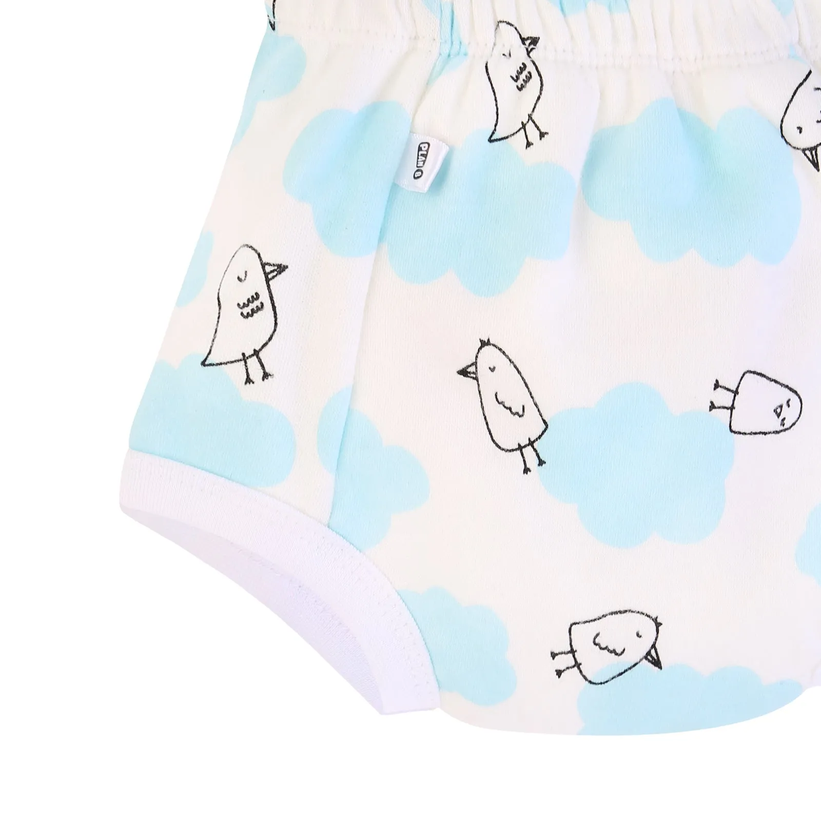 Padded Underwear for Potty Training - 2pack - Birds