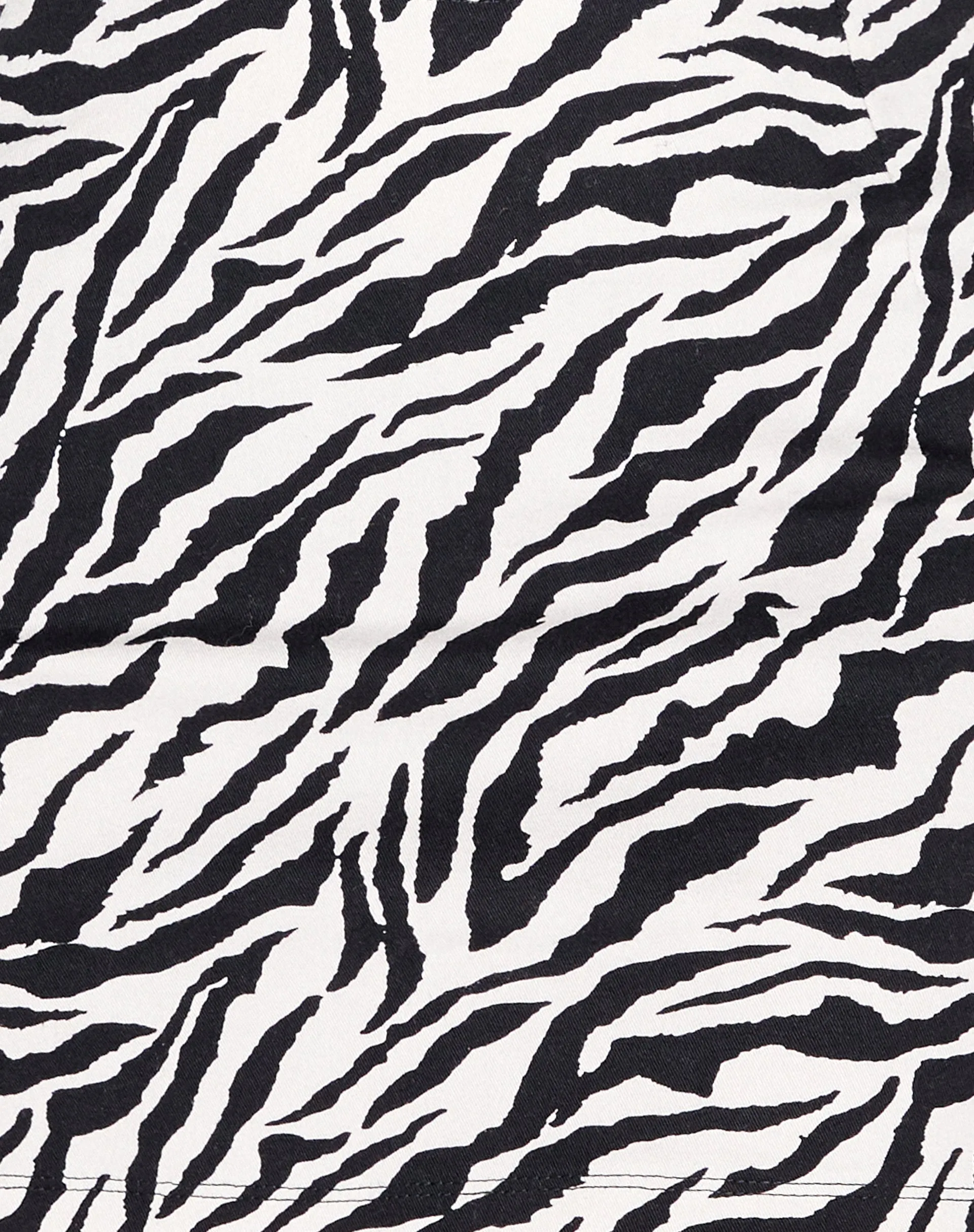 Ruix Long Sleeve Top in 90's Zebra